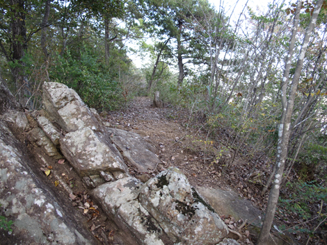 20161104hike (225)